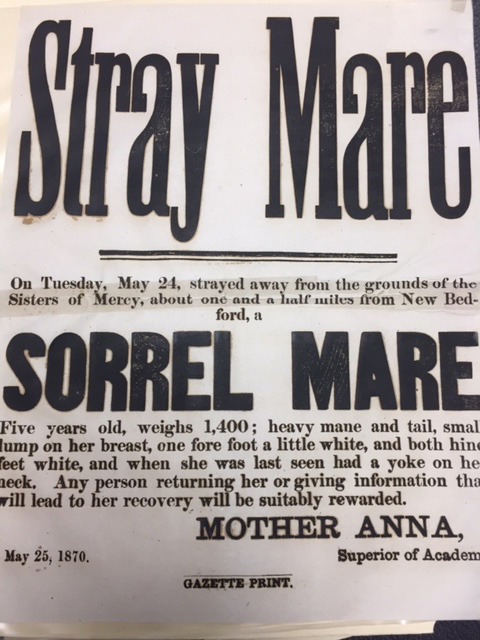 Image of the Stray Mare printed poster