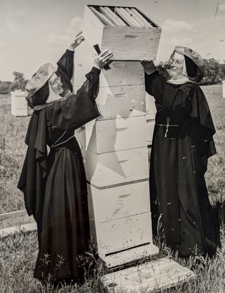 Sisters Beekeeping