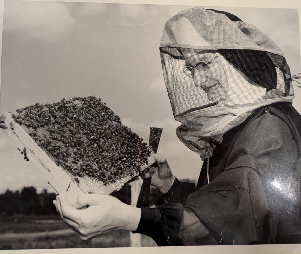 Sisters Beekeeping