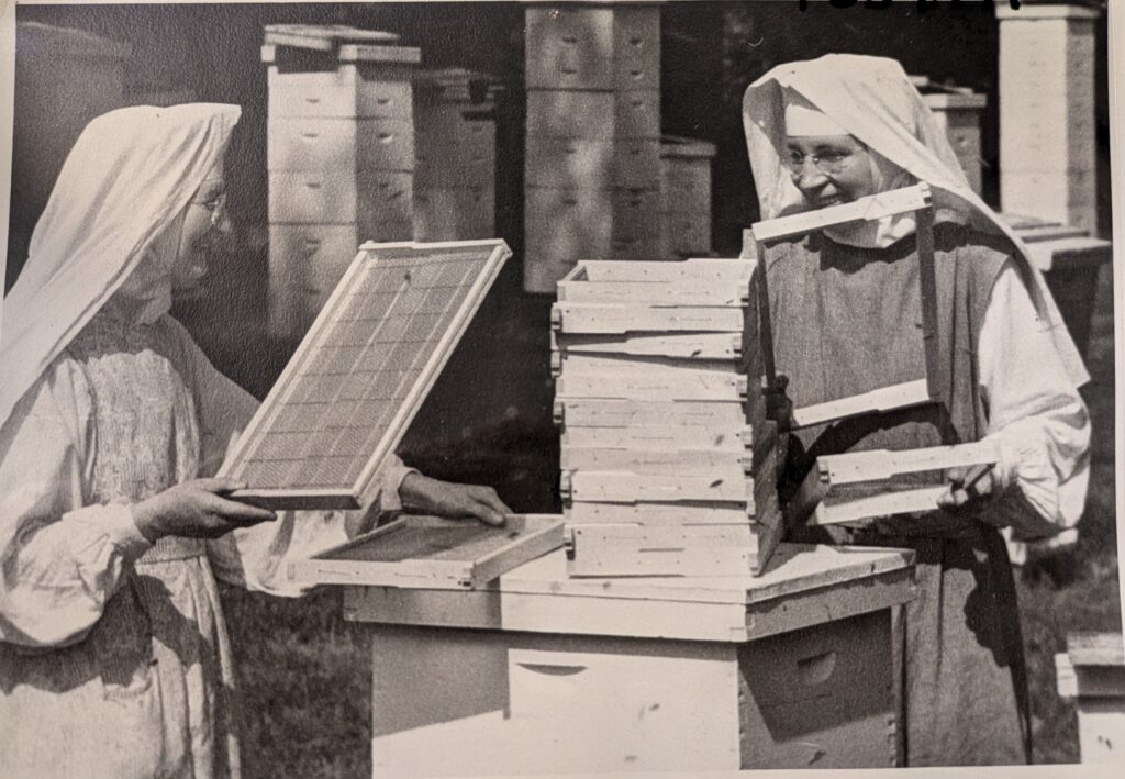 Sisters Beekeeping